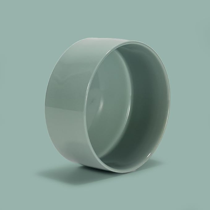 SPUNKYJUNKY 28.7OZ Ceramic Dog and Cat Bowl, Modern Cute Weighted Food Water Bowl for Replacement Morandi Green (1 Pack)