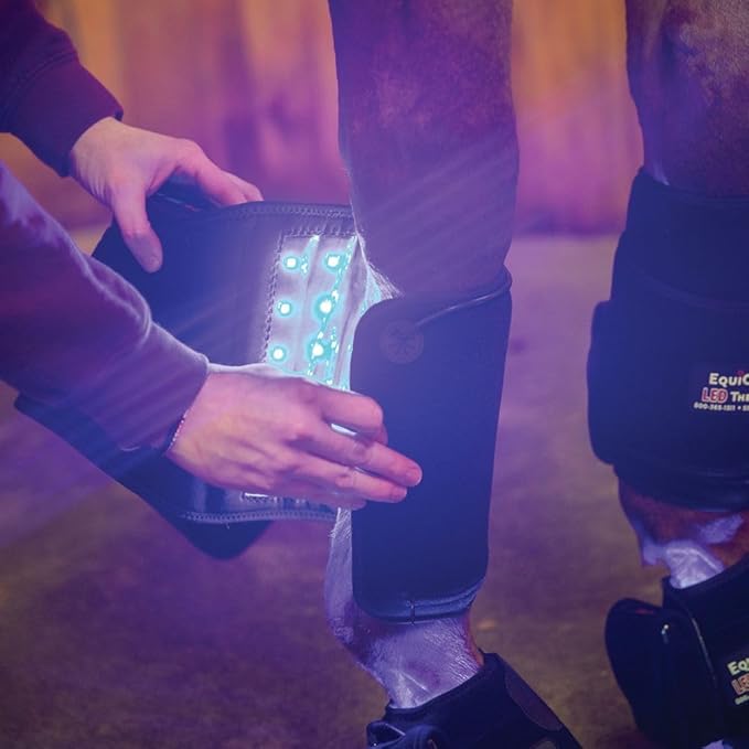 Schneiders EquiCare LED Therapy Blue Light Derma Layer Therapy Kit | Blue Light Wavelengths for Skin Irritations | Includes Bell Boots & Wraps with Rechargeable Batteries