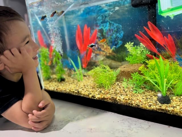 Aquarium Stone for Natural Water Clarification and Odor Removal Featuring Beneficial Microlife (Small)