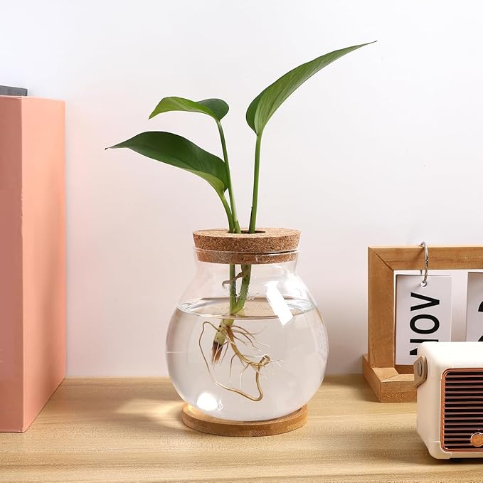 POPETPOP Desktop Glass Fish Bowl - Round Small Fish Tank with Wood Stopper & Bamboo Mat, Clear Glass Betta Fish Bowl for Succulent Plants, Hydroponic Air Plant (5.1X5.5 in)