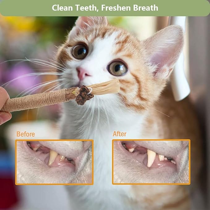 RELONGGI 3 PCS Silvervine Sticks for Cats - Natural Cat Chew Toys for Teeth Cleaning, Kitten Teething & Aggressive Chewers