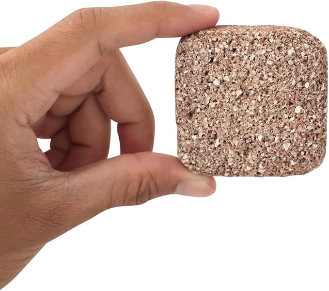 Aquarium Stone for Natural Water Clarification and Odor Removal Featuring Beneficial Microlife (Mini)