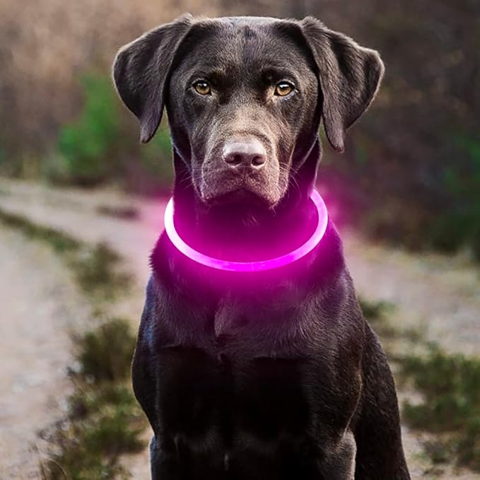 HIGO LED Dog Collar, USB Rechargeable Light Up Dog Collars Glow in The Dark, Waterproof LED Dog Necklace for Your Dogs Walking at Night (Pink)