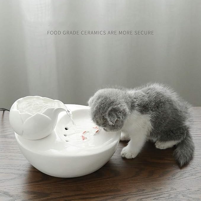 Ceramic Water Fountains for Cats Indoor Small Dog Pet Water Bowl Dispenser Automatic Rabbit (White,Samll)