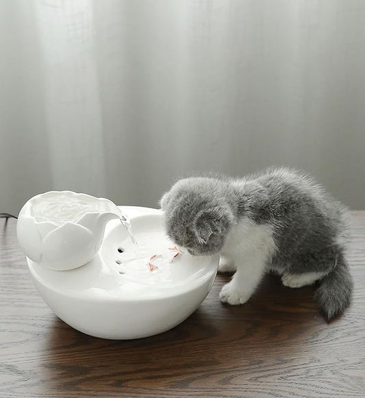 Ceramic Water Fountains for Cats Indoor Small Dog Pet Water Bowl Dispenser Automatic Rabbit (White,Samll)