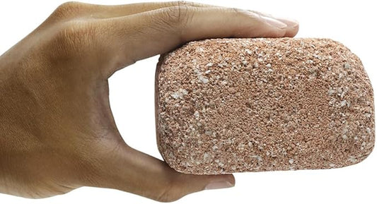 Aquarium Stone for Natural Water Clarification and Odor Removal Featuring Beneficial Microlife (Medium)