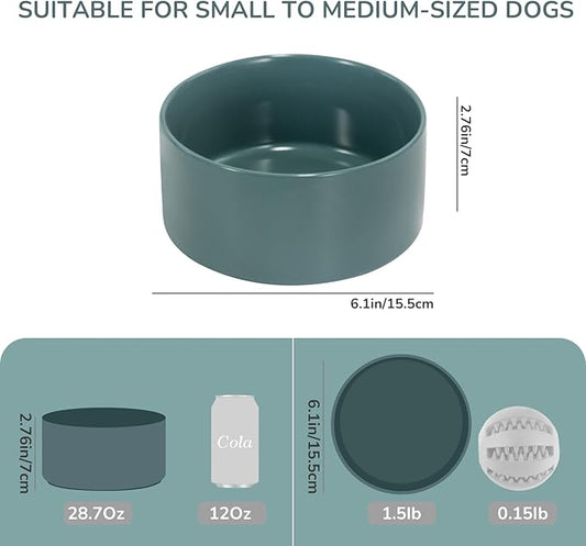 SPUNKYJUNKY 28.7OZ Ceramic Dog and Cat Bowl, Modern Cute Weighted Food Water Bowl for Replacement Light Green (1 Pack)