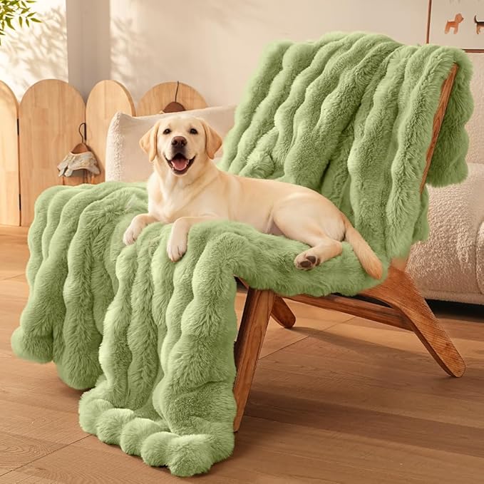 Dog Blanket Ultra Soft Fuzzy Faux Fur Cat Blankets for Indoor Cats Ultra Soft Plush Faux Fur Machine Washable Reversible Pet Throw Protector for Couch Furniture Large 39"X 30" Fruit Green