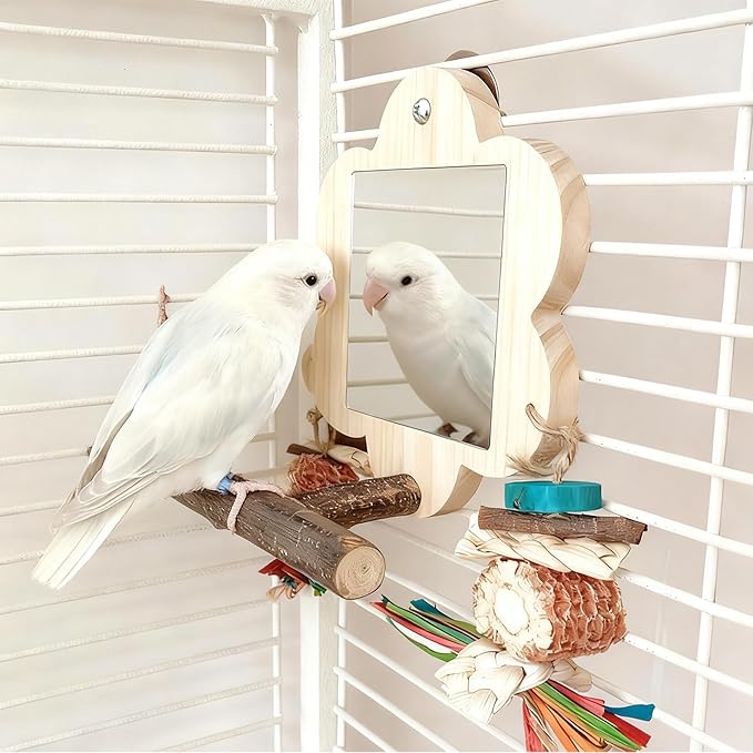 Acsist Bird Mirror with Perch, Cockatiel Mirror for Cage, Parakeet Toys with Chew Toy,Bird Cage Accessories for Parrot Conure Lovebirds Finch Canaries(Pinecone)