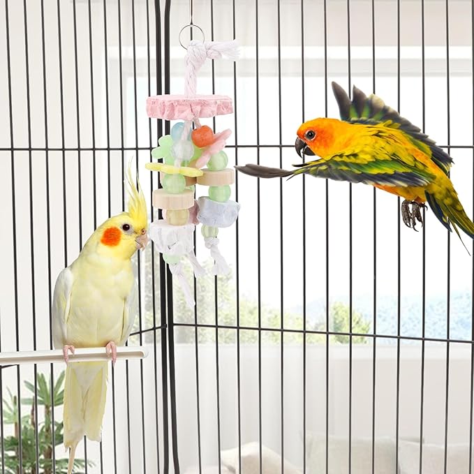 Hypeety Bird Calcium Teeth Grinding Stone Chew Treats Toy Beak Buffer Stone for Hamster Bird Parrot African Grey Parakeets Cockatiels Conures Amazons Small Animal Cage Hanging Bite