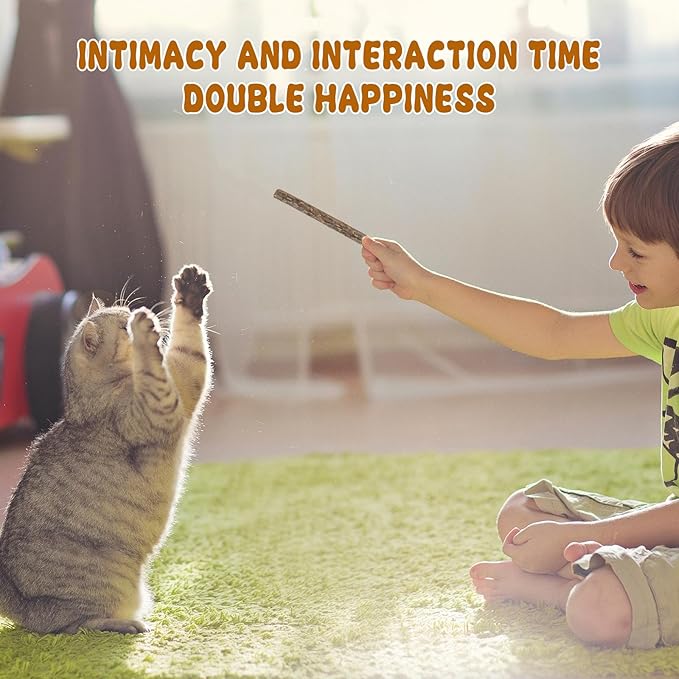 WoLover Silvervine Sticks for Cats, Natural Catnip Matatabi Chew Sticks Teeth Molar Chew Toys for Cat Kitten Kitty (25 PCS)