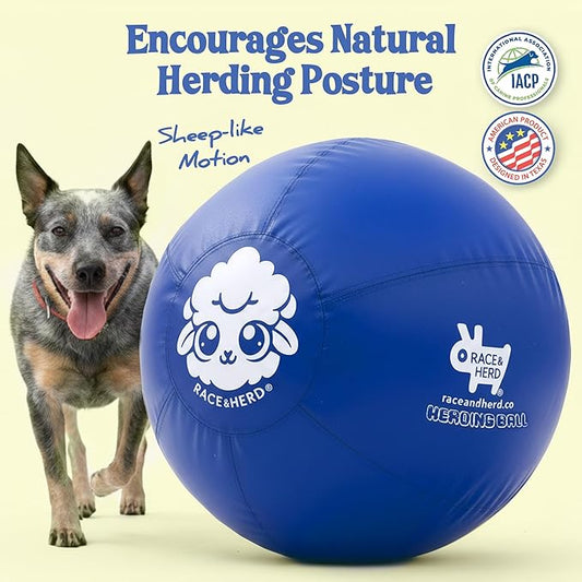 Race&Herd 25" Original XXL Herding Ball for Dogs Large - Herding Toys, Durable Outdoor Big Dog Herding Ball for Australian Shepherd, Corgis, Border Collie Ball & Other Medium to Large Breeds (Blue)