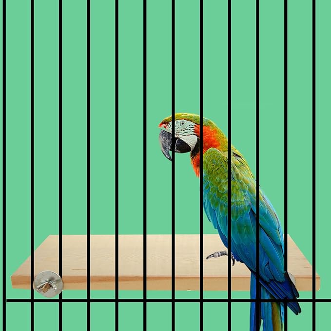 DIRBUY 4 Pack 5 x 12 Inches Bird Perches - Natural Wooden Flat Bird Perch - Rectangle Bird Perch Stand Platform for Parrot, Budgies, Parakeet, Cockatiels, Conure, Lovebirds