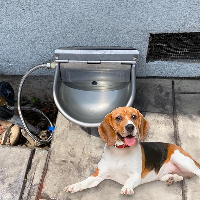 Stainless Steel Automatic Waterer Bowl Farm Livestock Pet Auto-Watering for Dog Cattle Horse Float Valve Sheep Goat with Float Water Valve Pipe and 3/4''Adaptor
