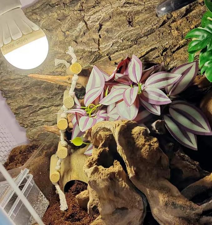 2Pack Reptile Fake Plants for Terrarium, Amphibian Habitat Decor Artificial Hanging Plants with Suction Cup, Artificial Leaves for Snake Tank Accessories.-Zebrina Purple