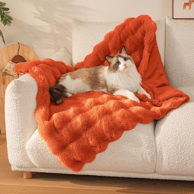 Cat Blanket for Indoor Cats Ultra Soft Plush Faux Fur Kitten Blankets Machine Washable Reversible Pet Throw Protector for Couch Furniture 21"X 18"Vibrant Orange