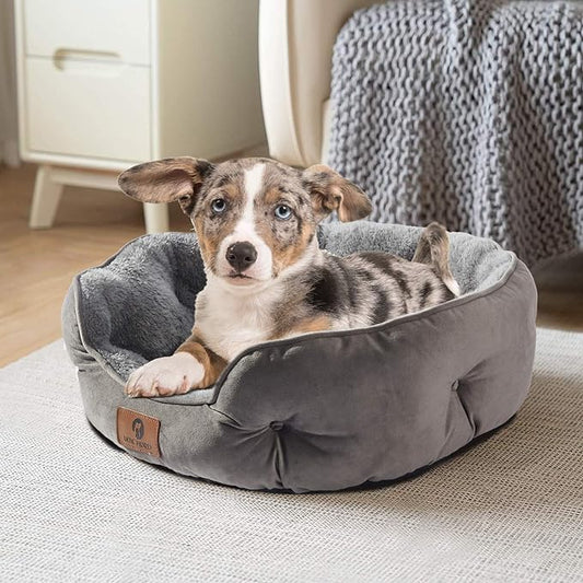Asvin Medium Dog Bed for Medium Dogs, Cat Beds for Indoor Cats, Pet Bed for Puppy and Kitty, Extra Soft & Machine Washable with Anti-Slip & Water-Resistant Oxford Bottom, Grey, 25 inches