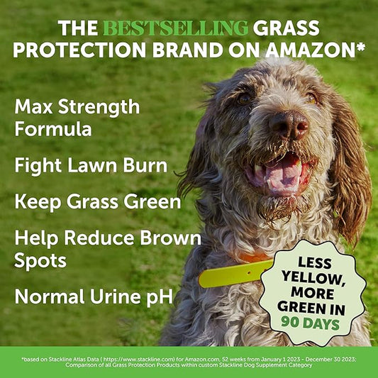 Grass Green Max Strength Chews for Dogs – Premium Dog Urine Lawn Spot Saver Supplement – Supports Healthy Digestion, Gut & Urinary Health with Probiotics, DL-Methionine & Yucca (90ct Duck Flavor)