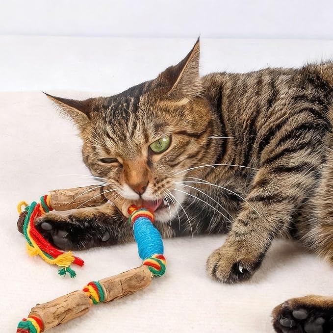 IUHKBH Cat Rope Toy, 2 PCS Colorful Chew Ropes with Silvervine Sticks and Refillable Natural Catnip Bag for Teeth Cleaning Safe Interactive Toy for Indoor Cat Kitten