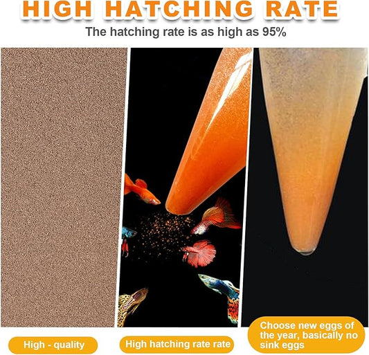 Brine Shrimp Eggs Fish Food - Sea Monkey Eggs 90% Hatch Rate Aquatic Foods for Freshwater & Saltwater Fish, Shrimp, Fry (5oz)