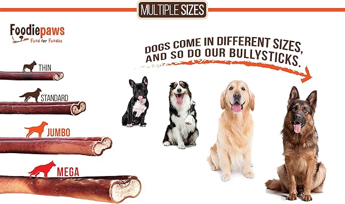 FOODIEPAWS 12 Inch Jumbo Bully Sticks for Dogs, 5 Pack |Thick, Grass-Fed Beef Pizzle Chews | All Natural, Rawhide-Free & Fully Digestible | High Protein, Long Lasting Dog Treats for Heavy Chewers