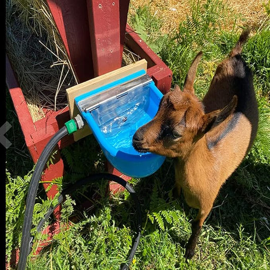 Automatic Water Bowl Plastic Livestock Waterer for Horse Cattle Goat Sheep Dog,Farm Grade Sheep Water Trough Bowl (with Drainage Hole & 39.37 inch Pipe)