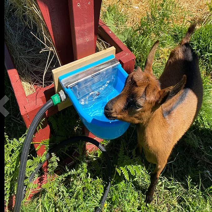 Automatic Water Bowl Plastic Livestock Waterer for Horse Cattle Goat Sheep Dog,Farm Grade Sheep Water Trough Bowl (with Drainage Hole & 39.37 inch Pipe)… (Without 39.37 inch Pipe)