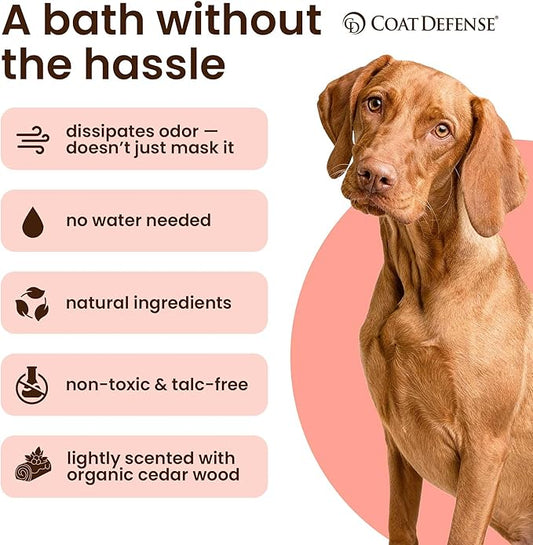 Coat Defense Daily Preventative Powder for Dogs and Cats | Anti-Itch Powder, Odor Control | Talc-Free, Non-Toxic Coat Defense for Dogs | 9 oz Precision Point