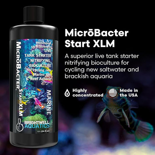 Brightwell Aquatics MicroBacter Start XLM - Concentrated Freshwater Nitrifying Bacteria - Quick Start Fish Tank Starter, Lift Microbe Levels & Water Filtering - Aquarium Water Treatments, 33.8 fl oz
