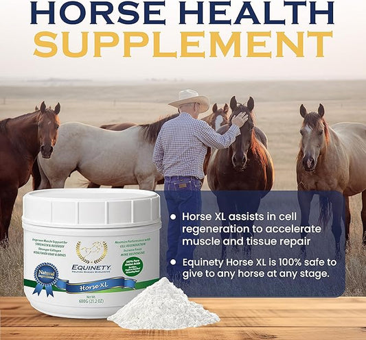 100-Day Supply Horse XL Supplement – Amino Acids for Cellular Repair, Coat Defense, Weight Gain, Joint & Hoof Support – No Soy/Sugar – Equine Supplements for Muscle, Immune Support & Overall Health