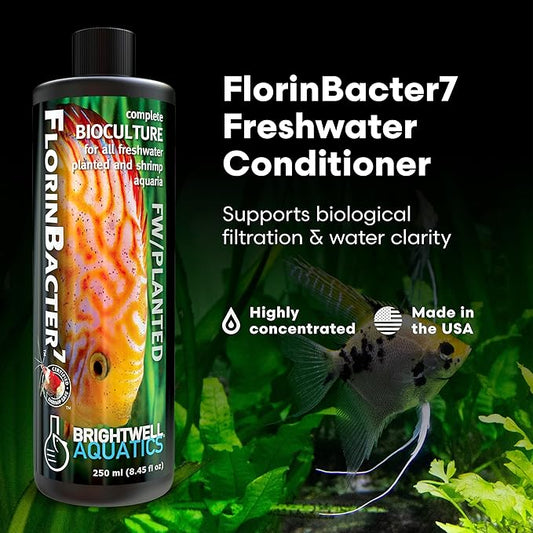 Brightwell Aquatics FlorinBacter7 Freshwater Aquarium Conditioner | Supports Biological Filtration | Removes Ammonia, Nitrite & Nitrate | Improves Water Clarity, 2L