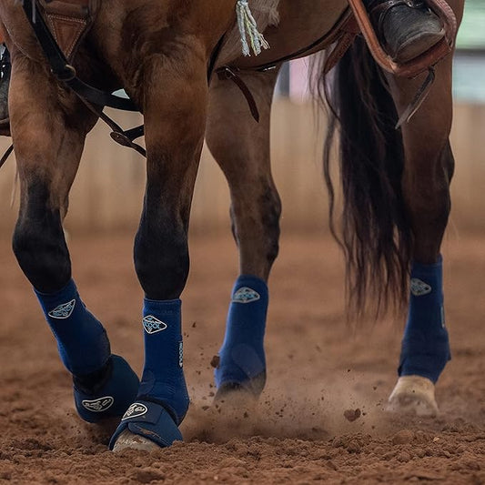 Professional's Choice 2XCOOL Sports Medicine Horse Boots | Protective & Breathable Design for Ultimate Comfort & Durability in Active Horses | Value 4 Pack