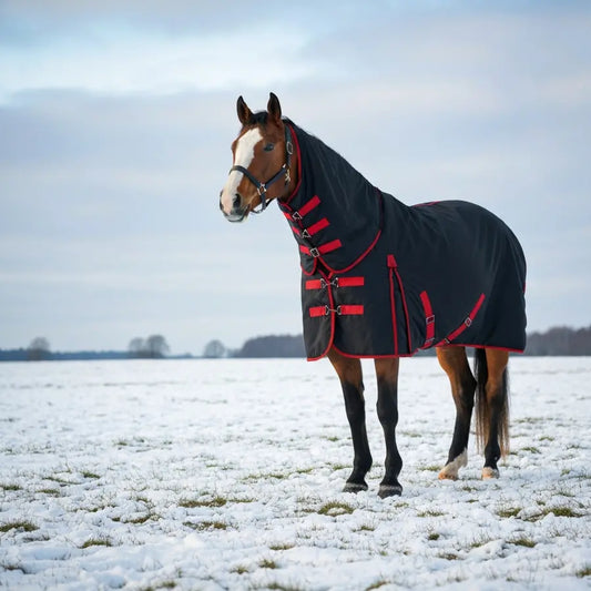 A majestic horse wearing a durable black winter blanket with subtle red trims, standing resiliently in a snow-covered field under a soft winter sky.