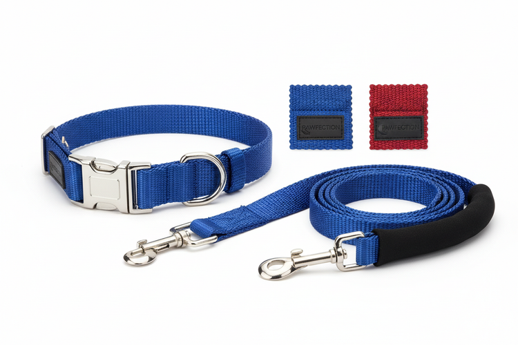 Adjustable dog collar and leash set for walking and training