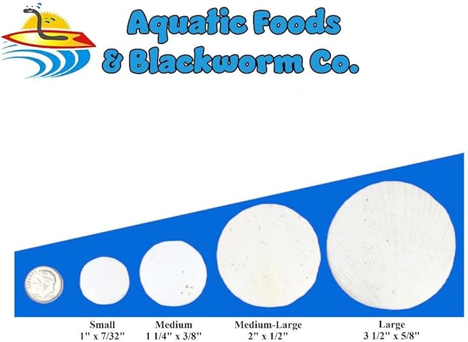 Aquatic Foods Inc. Calcium Enriched Sinking Food Disks for Shrimp, Snails, Crabs, Crayfish, Hermit Crabs, Plecos, Catfish, Bottom Fish, All Tropical Fish. 25 Small & 25 Medium Discs Jar