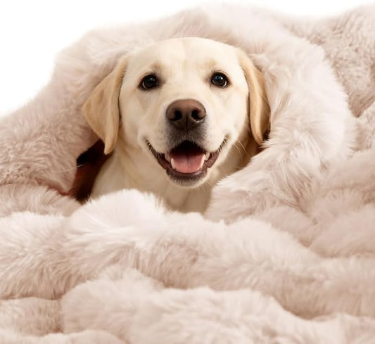 Dog Blanket Ultra Soft Fuzzy Faux Fur Cat Blankets for Indoor Cats Ultra Soft Plush Faux Fur Machine Washable Reversible Pet Throw Protector for Couch Furniture Large 39"X 30" Milky White