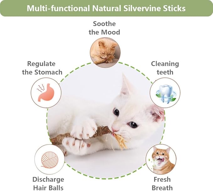 RELONGGI 5 PCS Silvervine Sticks for Cats - Natural Cat Chew Toys for Teeth Cleaning, Kitten Teething & Aggressive Chewers