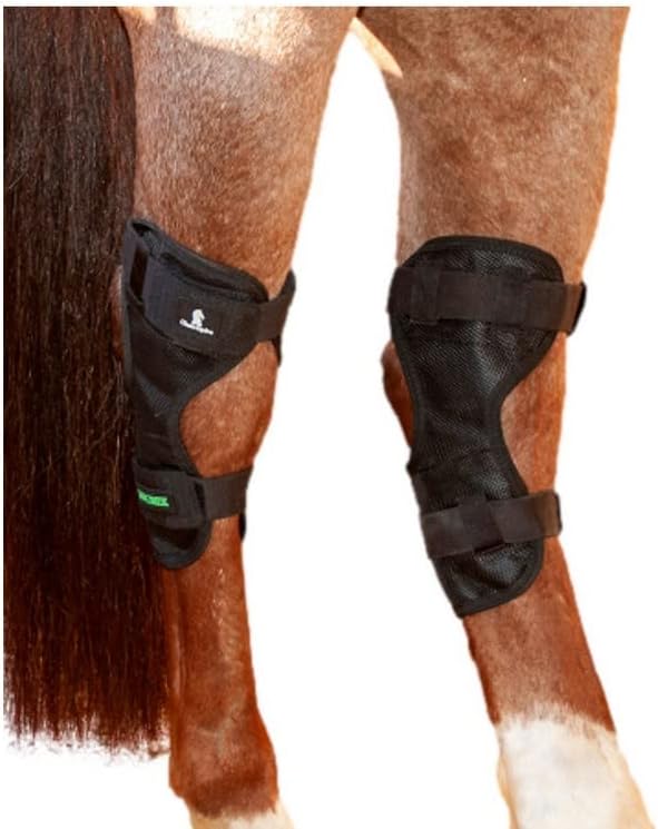 Classic Equine MagNTX Hock Wrap