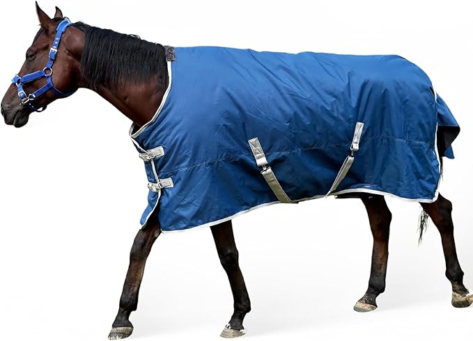 XUANNIAO Winter 1200D Premium Turnout Horse Blanket,Medium Weight Waterproof Blanket