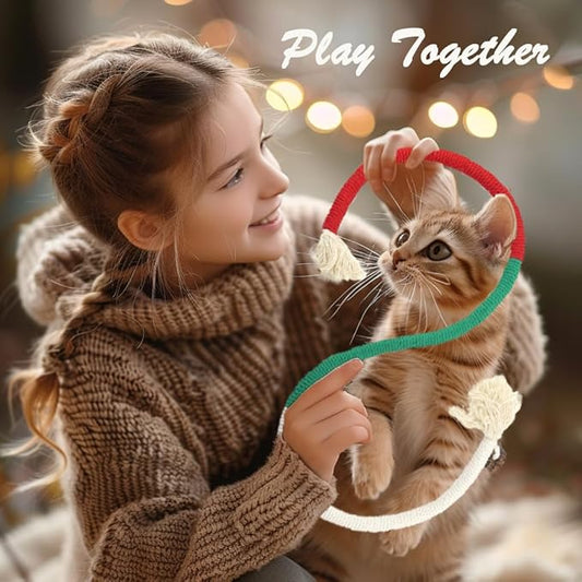 GREMBEB Cat Toys, 3PCS Catnip Toy for Indoor Kitten Treat Cats Silvervine Rope Chew Stick for Dental Cleaning Teeth Kitty Feather Snack Self Play Interactive Boredom