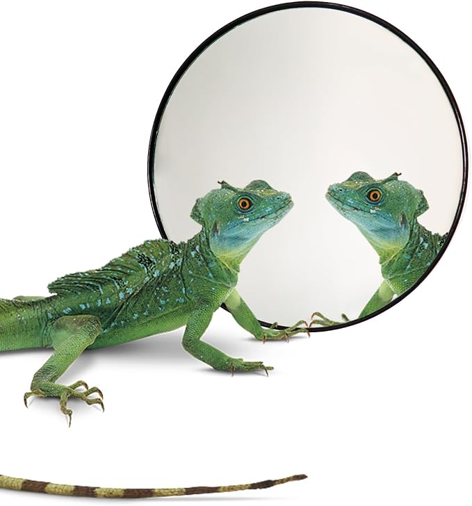 Jinkoozz 5.1 Inches Lizard Mirror Toy, Reptile Mirror Toy with Suction Cups, Small Animal Tank Aquarium Decor Accessories, Suitable for Hermit Crab Lizard Chameleon Hamster Guinea Pig Turtle