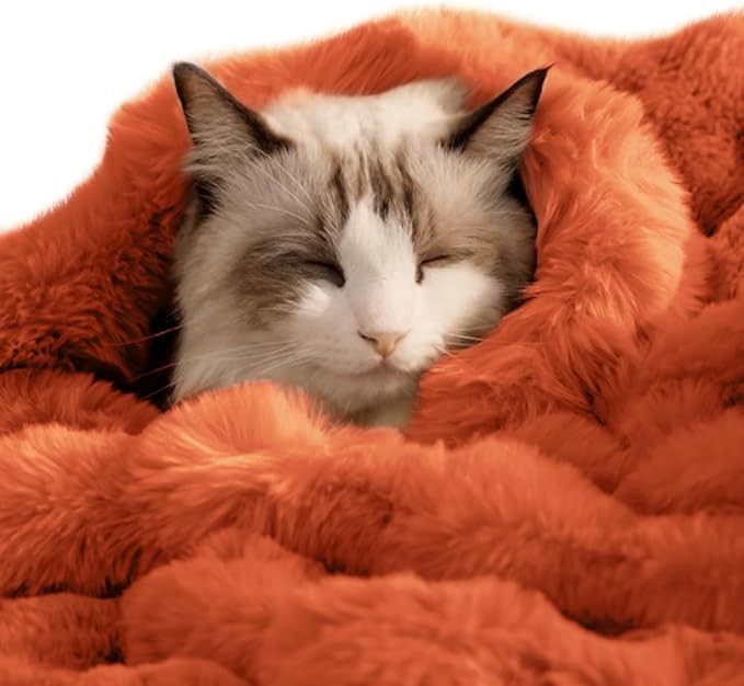 Cat Blanket for Indoor Cats Ultra Soft Plush Faux Fur Kitten Blankets Machine Washable Reversible Pet Throw Protector for Couch Furniture 21"X 18"Vibrant Orange