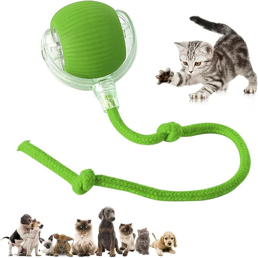 DVHNMK Chewie Viral 360 Smart Automatic Rolling Pet Ball - Interactive Dog & Cat Toy (Green)