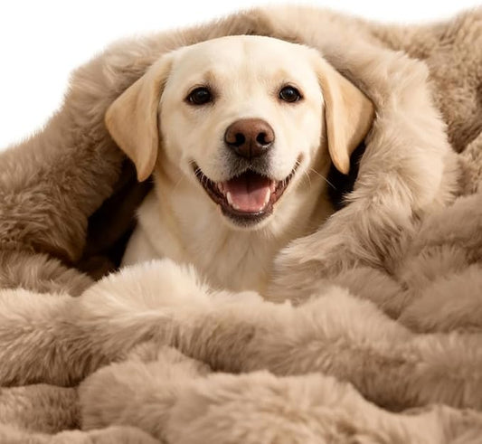 Dog Blanket Ultra Soft Fuzzy Faux Fur Cat Blankets for Indoor Cats Ultra Soft Plush Faux Fur Machine Washable Reversible Pet Throw Protector for Couch Furniture Large 39"X 30" Latte Coffee