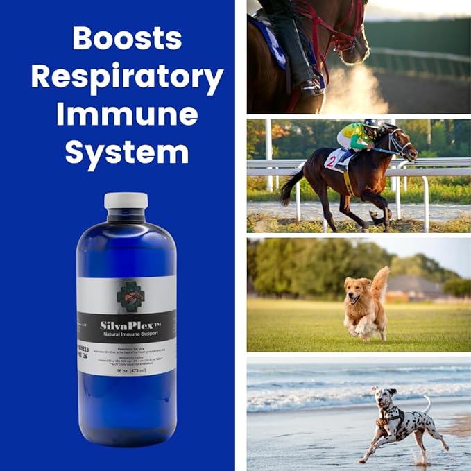 SilvaPlex Natural Immune Support Solution for Dogs, Cats, Horses, Small Animals, 100 PPM Chelated Silver (16 oz)