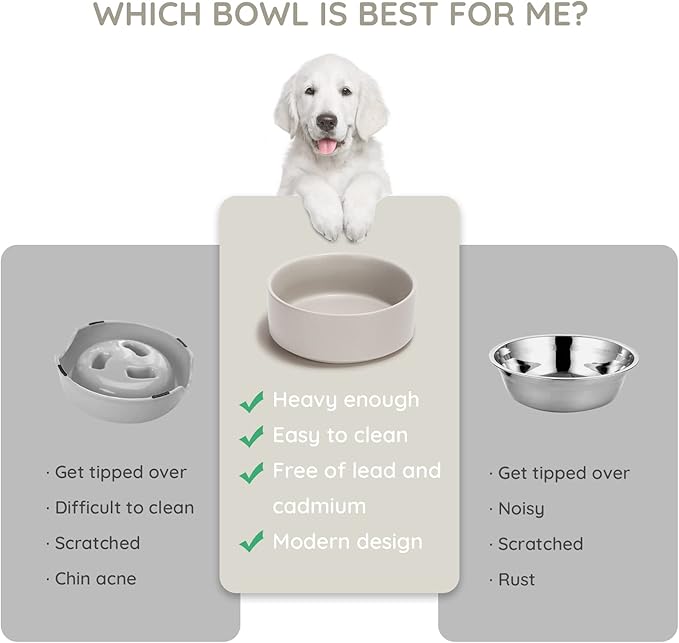 SPUNKYJUNKY 13.5OZ Ceramic Dog and Cat Bowl, Modern Cute Weighted Food Water Bowl for Replacement Grey (1 Pack)