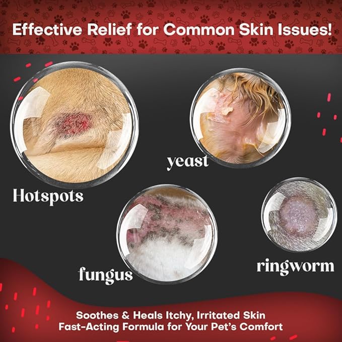 Petazy 2% Chlorhexidine Wipes for Dogs 3X Larger | Yeast Infection Ringworm Fungus Hot Spot Itch Relief | Medicated Antibacterial Antifungal Gentle Soothing Topical Wipes for Dog Cat | 50 Wipes 5x6