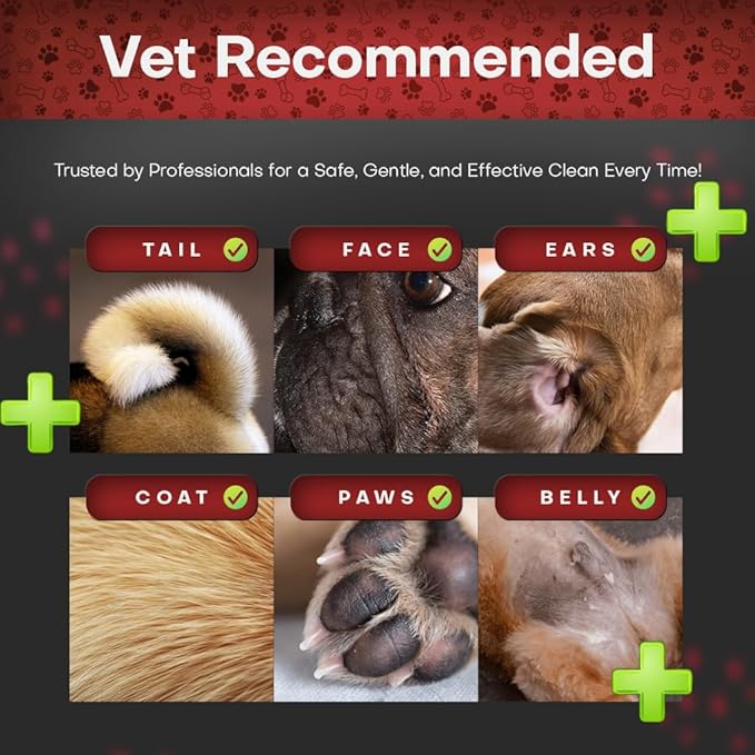 Petazy 2% Chlorhexidine Wipes for Dogs 3X Larger | Yeast Infection Ringworm Fungus Hot Spot Itch Relief | Medicated Antibacterial Antifungal Gentle Soothing Topical Wipes for Dog Cat | 50 Wipes 5x6