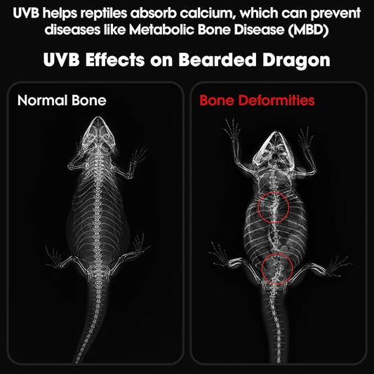 12-Inch UVB Reptile Light,4H/8H/12H Timer,3 Modes Lighting,5 Level Brightness, 12W UVA UVB Lamp for Desert Tropical Animals Bearded Dragons Turtle Chameleon Tortoises Gecko Snake Frog