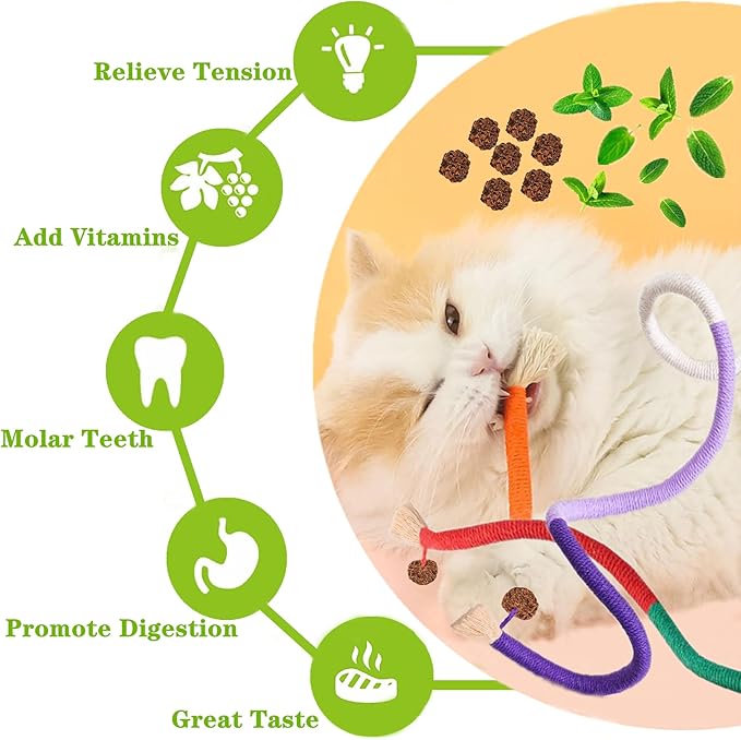 GREMBEB Cat Toys, 3PCS Catnip Toy for Indoor Kitten Treat Cats Silvervine Rope Chew Stick for Dental Cleaning Teeth Kitty Feather Snack Self Play Interactive Boredom